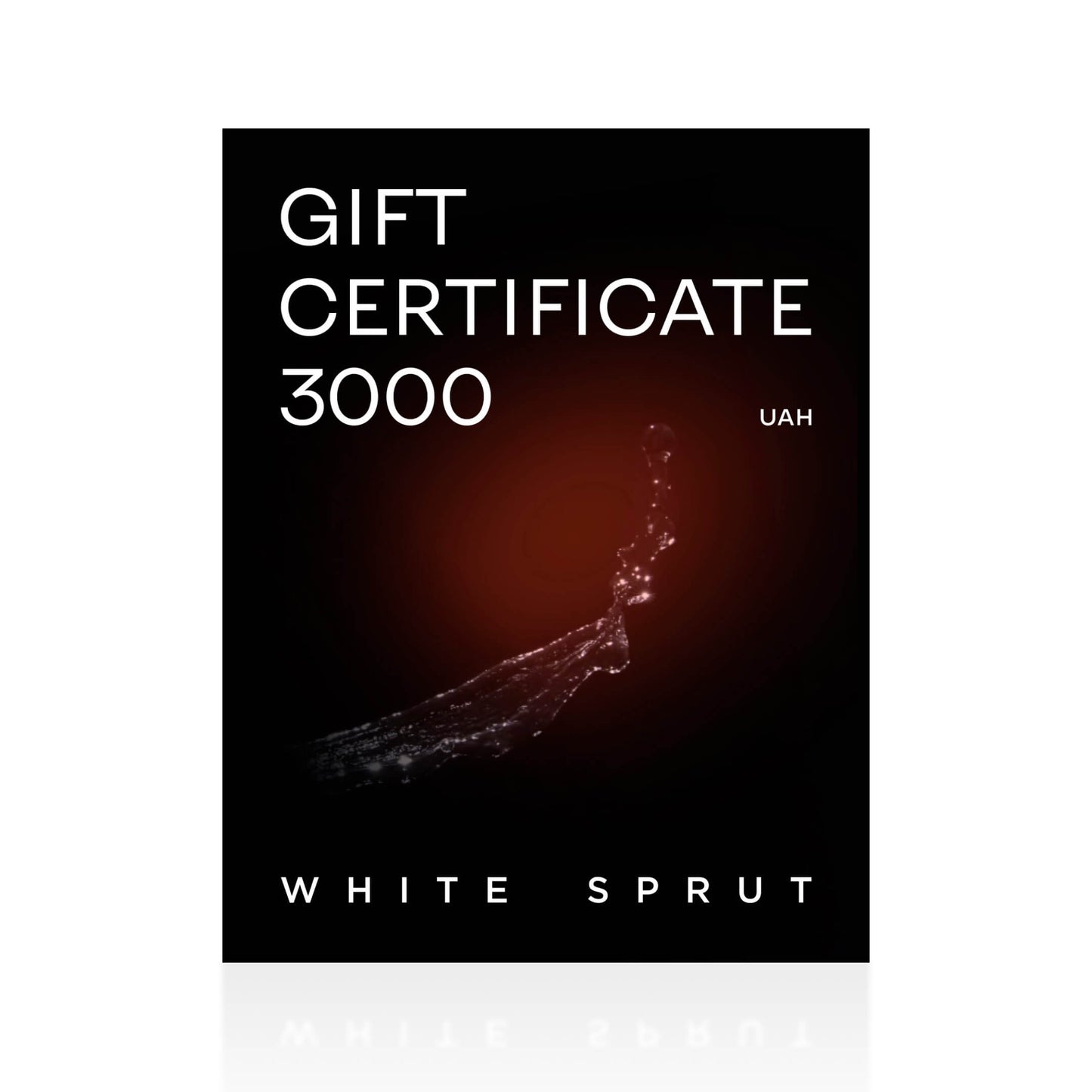 Gift certificate 3000