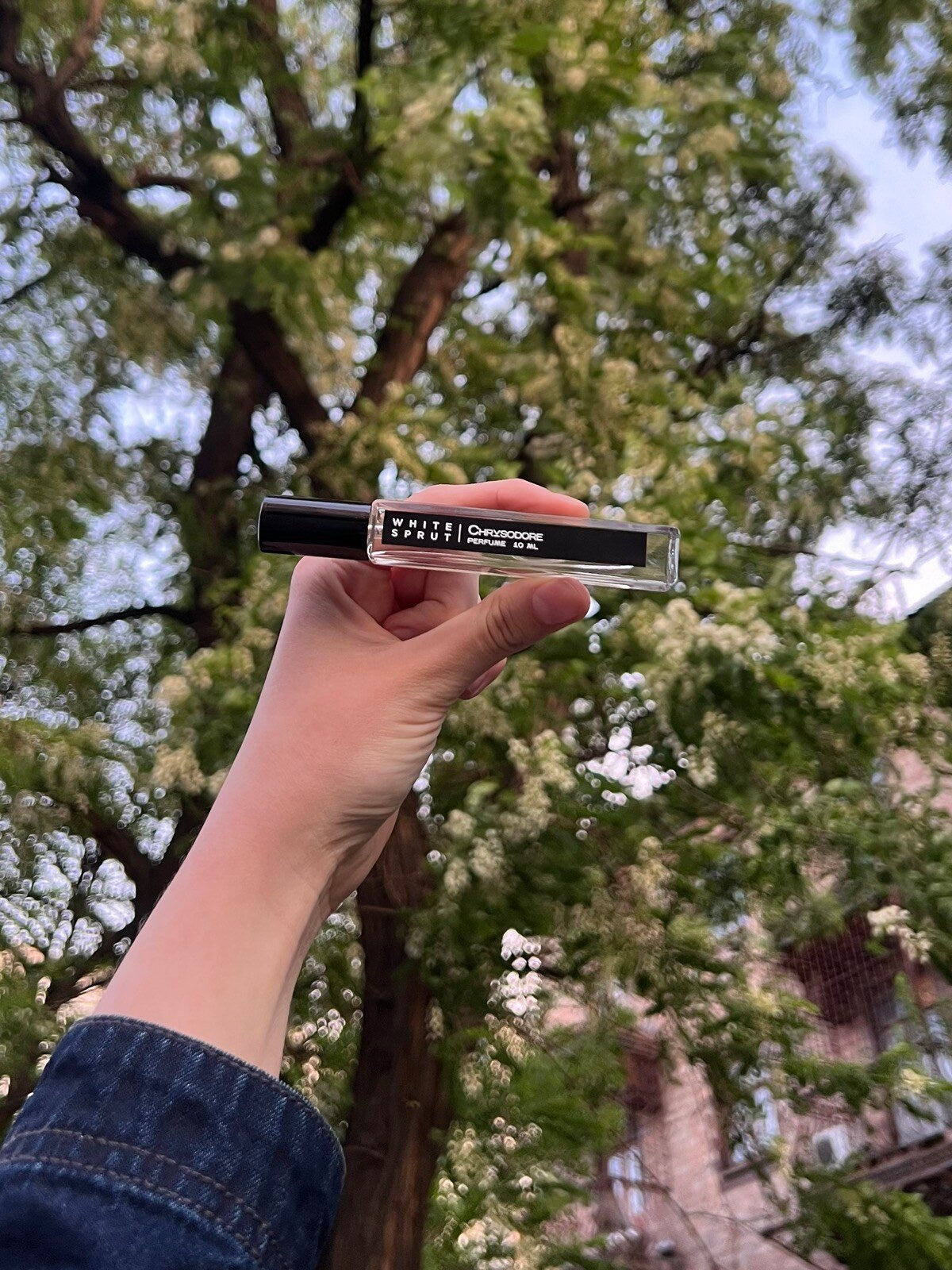 CHRYSODORE Perfume — флакон у руці, White Sprut
